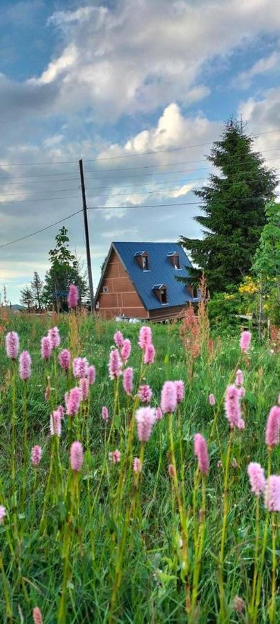 Zifinbungalov Chaletu